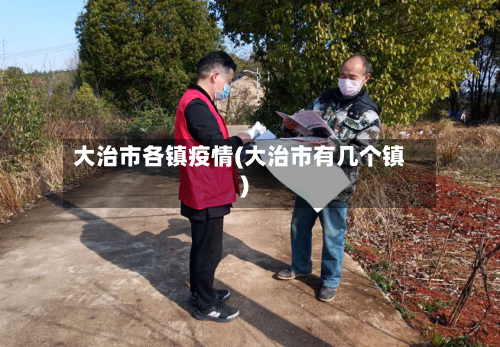 大治市各镇疫情(大治市有几个镇)