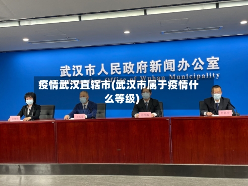 疫情武汉直辖市(武汉市属于疫情什么等级)