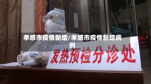 孝感市疫情新增/孝感市疫情新增病例-第3张图片