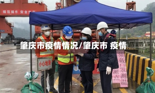 肇庆市疫情情况/肇庆市 疫情-第2张图片