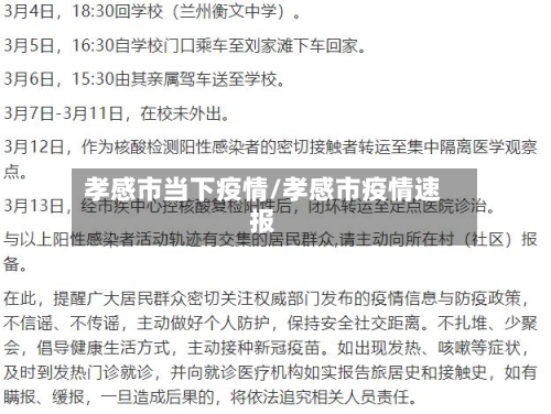 孝感市当下疫情/孝感市疫情速报-第2张图片