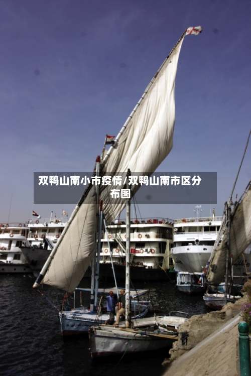 双鸭山南小市疫情/双鸭山南市区分布图-第3张图片