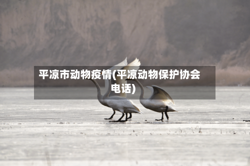 平凉市动物疫情(平凉动物保护协会电话)-第2张图片