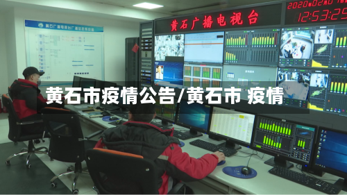 黄石市疫情公告/黄石市 疫情-第2张图片