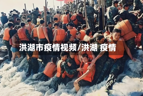 洪湖市疫情视频/洪湖 疫情