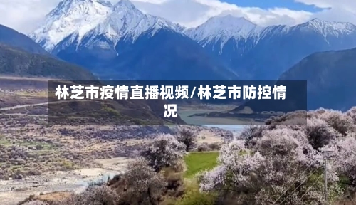 林芝市疫情直播视频/林芝市防控情况