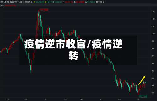 疫情逆市收官/疫情逆转