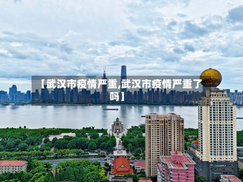 【武汉市疫情严重,武汉市疫情严重了吗】-第2张图片