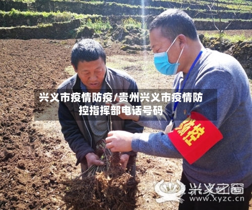 兴义市疫情防疫/贵州兴义市疫情防控指挥部电话号码-第3张图片