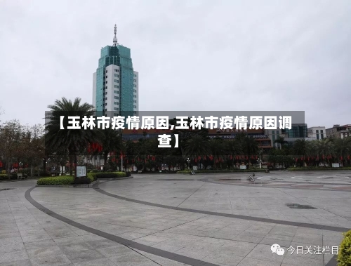 【玉林市疫情原因,玉林市疫情原因调查】