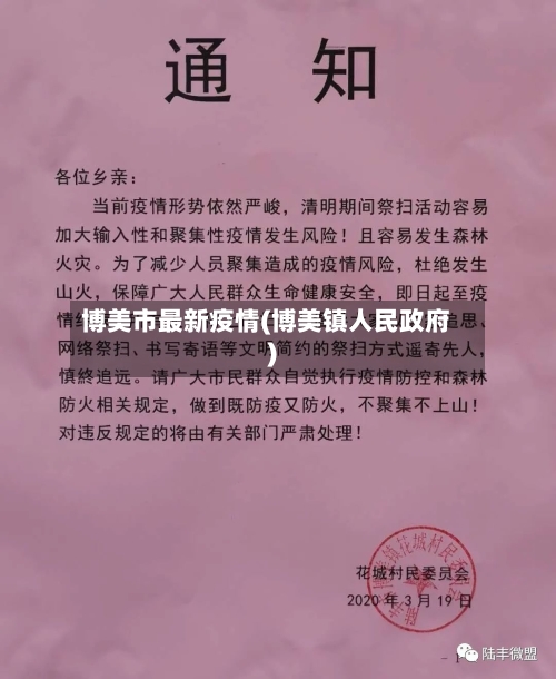 博美市最新疫情(博美镇人民政府)-第3张图片