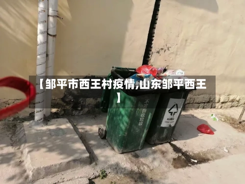 【邹平市西王村疫情,山东邹平西王】