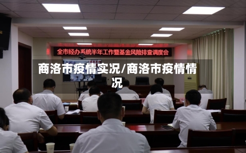 商洛市疫情实况/商洛市疫情情况