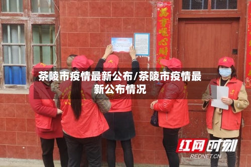 茶陵市疫情最新公布/茶陵市疫情最新公布情况-第3张图片