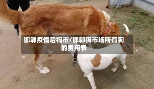 邯郸疫情后狗市/邯郸狗市场所有狗的费用表-第2张图片