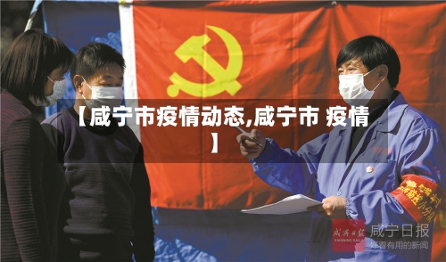 【咸宁市疫情动态,咸宁市 疫情】