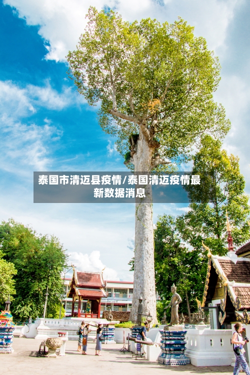 泰国市清迈县疫情/泰国清迈疫情最新数据消息
