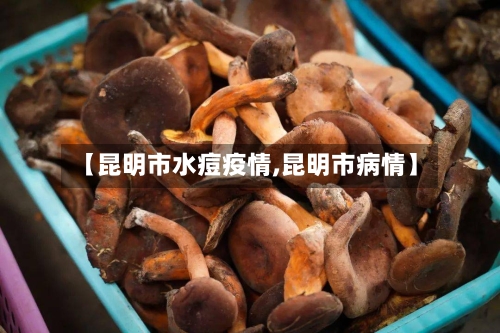【昆明市水痘疫情,昆明市病情】