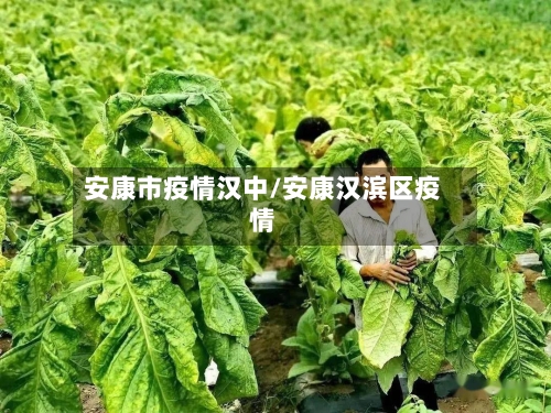 安康市疫情汉中/安康汉滨区疫情-第2张图片