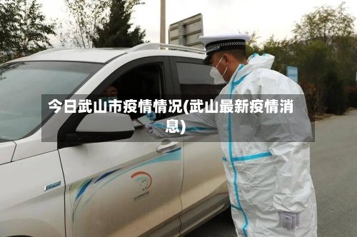 今日武山市疫情情况(武山最新疫情消息)