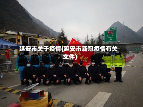 延安市关于疫情(延安市新冠疫情有关文件)-第2张图片