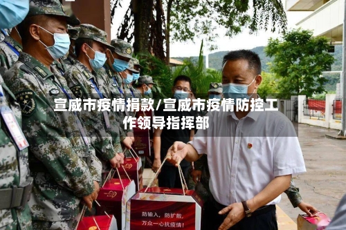 宣威市疫情捐款/宣威市疫情防控工作领导指挥部