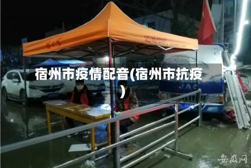 宿州市疫情配音(宿州市抗疫)-第2张图片