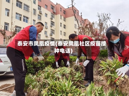 泰安市凤凰疫情(泰安凤凰社区疫苗接种电话)