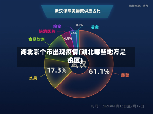 湖北哪个市出现疫情(湖北哪些地方是疫区)-第3张图片