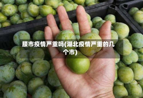 腰市疫情严重吗(湖北疫情严重的几个市)