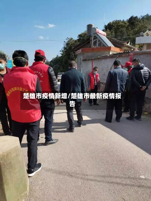 楚雄市疫情新增/楚雄市最新疫情报告-第2张图片