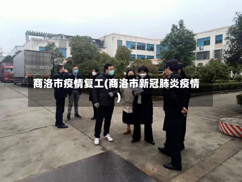 商洛市疫情复工(商洛市新冠肺炎疫情)-第2张图片