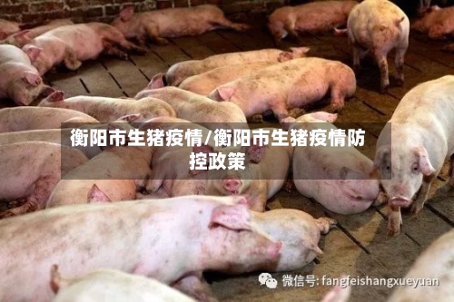 衡阳市生猪疫情/衡阳市生猪疫情防控政策-第3张图片