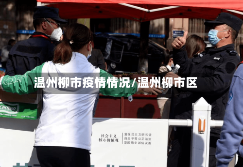 温州柳市疫情情况/温州柳市区-第2张图片