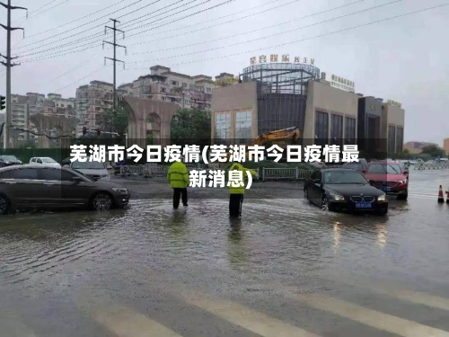 芜湖市今日疫情(芜湖市今日疫情最新消息)-第3张图片