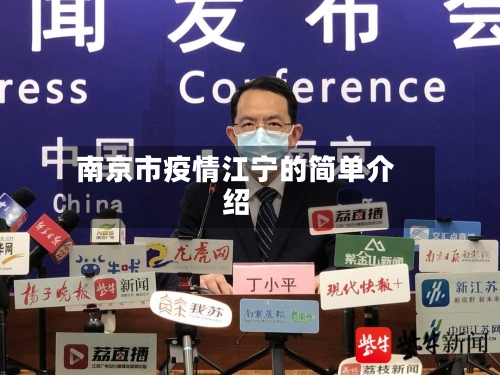 南京市疫情江宁的简单介绍