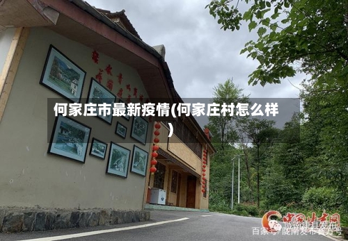 何家庄市最新疫情(何家庄村怎么样)-第2张图片