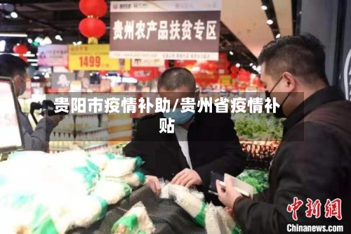 贵阳市疫情补助/贵州省疫情补贴
