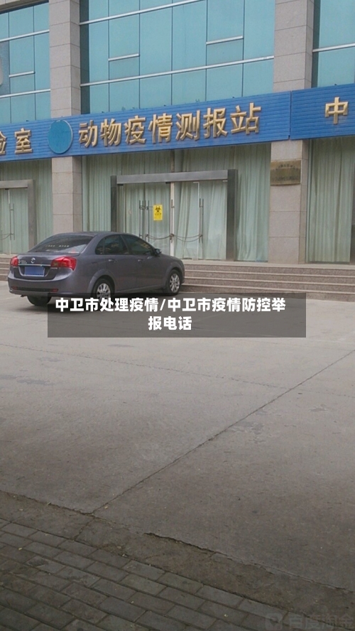 中卫市处理疫情/中卫市疫情防控举报电话-第2张图片