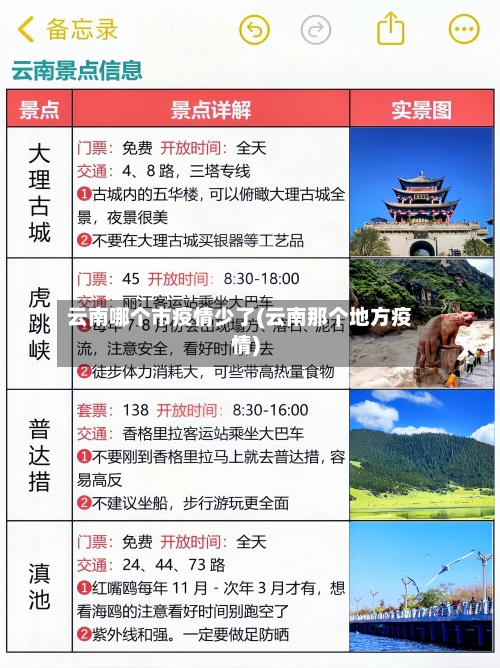 云南哪个市疫情少了(云南那个地方疫情)-第2张图片