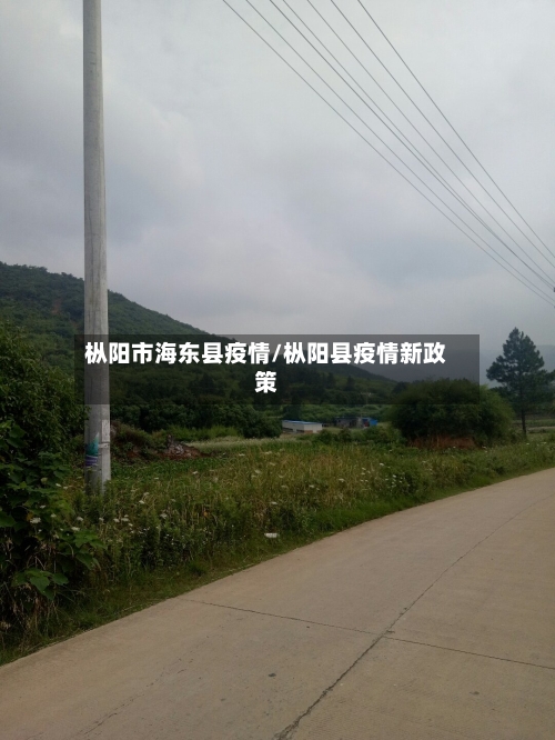 枞阳市海东县疫情/枞阳县疫情新政策-第2张图片