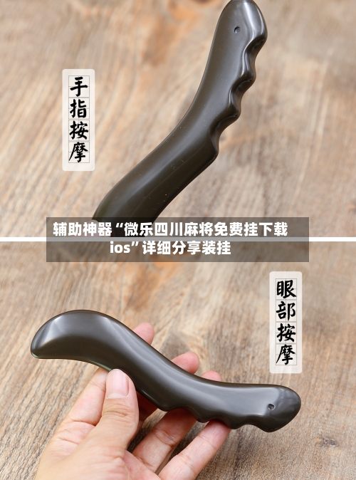 辅助神器“微乐四川麻将免费挂下载ios”详细分享装挂