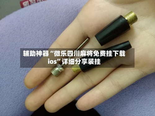 辅助神器“微乐四川麻将免费挂下载ios”详细分享装挂-第2张图片