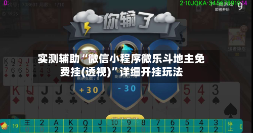 实测辅助“微信小程序微乐斗地主免费挂(透视)”详细开挂玩法-第3张图片