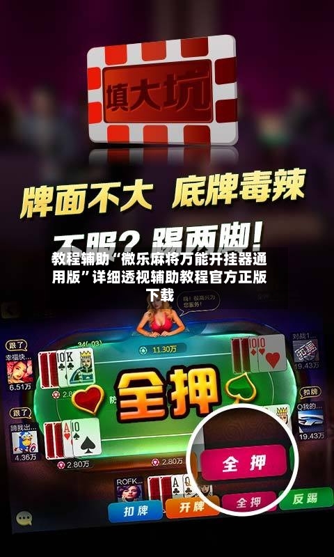 教程辅助“微乐麻将万能开挂器通用版”详细透视辅助教程官方正版下载-第2张图片