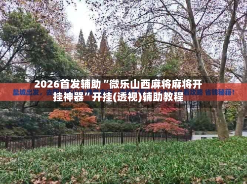 2026首发辅助“微乐山西麻将麻将开挂神器”开挂(透视)辅助教程-第2张图片
