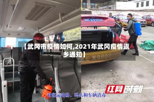【武冈市疫情如何,2021年武冈疫情返乡通知】-第2张图片
