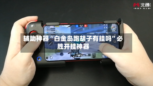辅助神器“白金岛跑胡子有挂吗”必胜开挂神器