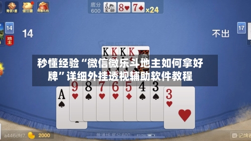 秒懂经验“微信微乐斗地主如何拿好牌”详细外挂透视辅助软件教程