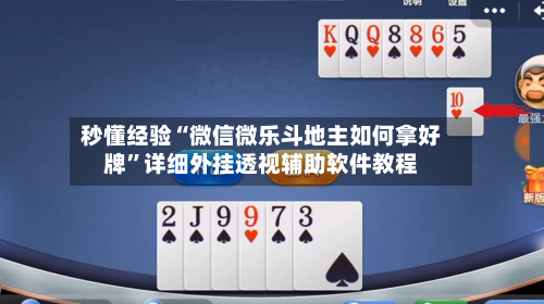 秒懂经验“微信微乐斗地主如何拿好牌	”详细外挂透视辅助软件教程-第2张图片